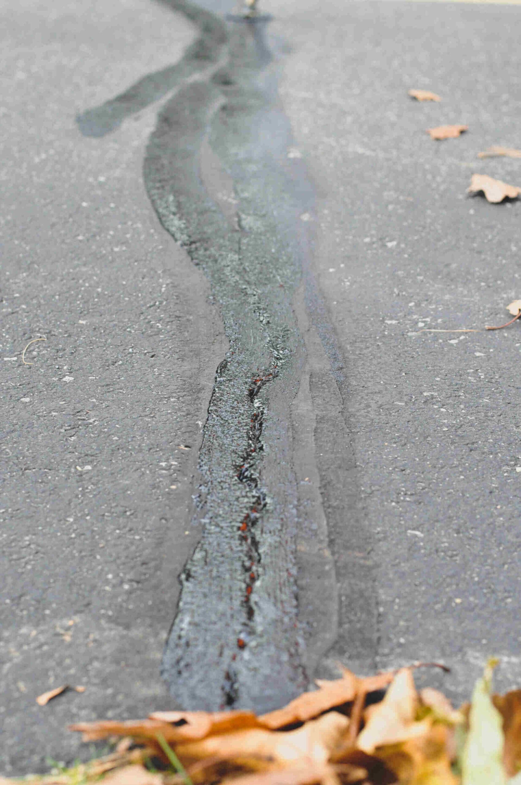 Read more about the article Let’s Talk About Cracks! Info and FAQ About Pavement Crack Filling